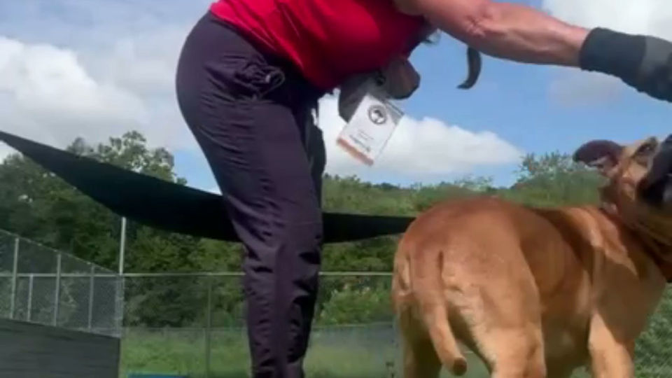 Volunteers - GivingTuesday